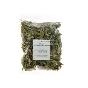 Επιλόβιο 40gr Vermion Herbs